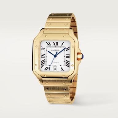 Cartier Santos de Cartier Referenz: WGSA0029 Produktbild 1