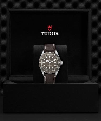 TUDOR Black Bay 58 925 Referenz: M79010SG-0001 Produktbild 3