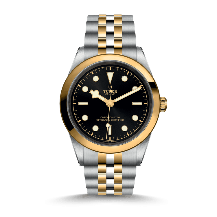 TUDOR Black Bay 41 S&G cover url