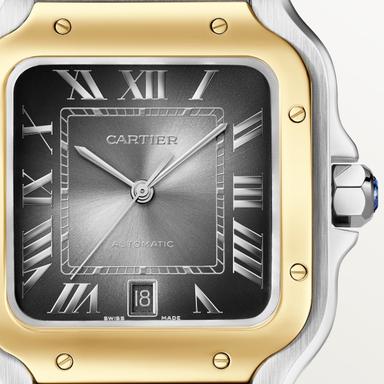 Cartier Santos de Cartier Referenz: W2SA0030 Produktbild 2