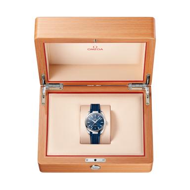 OMEGA Seamaster Aqua Terra 38 Referenz: 220.12.38.20.03.001 Produktbild 1