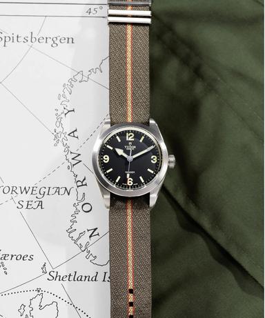 TUDOR Ranger Referenz: M79950-0003 Produktbild 2