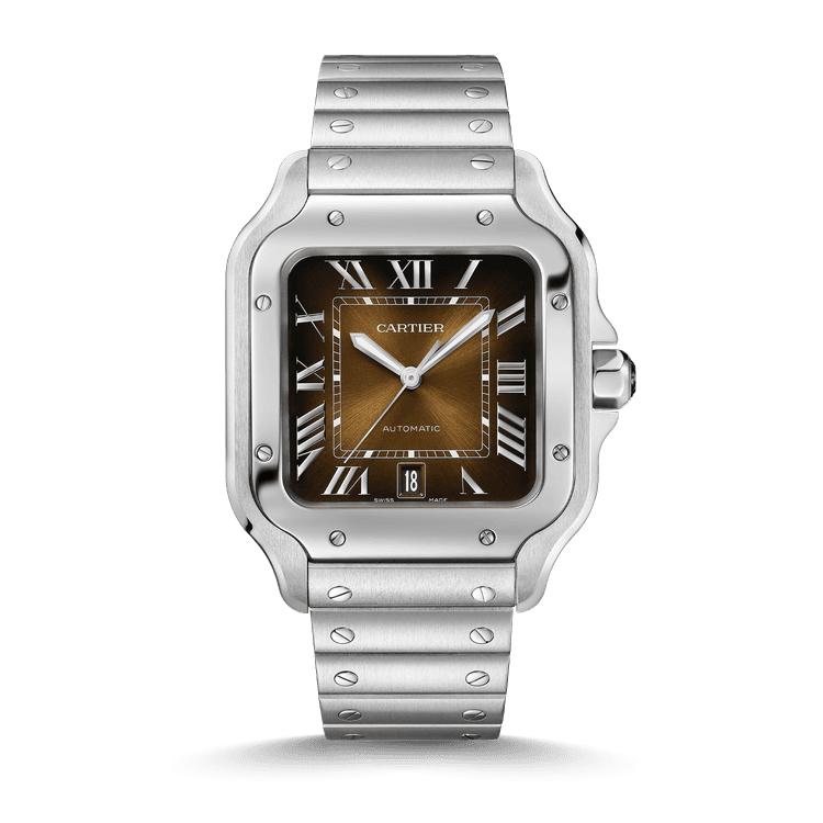 Cartier Santos de Cartier cover url