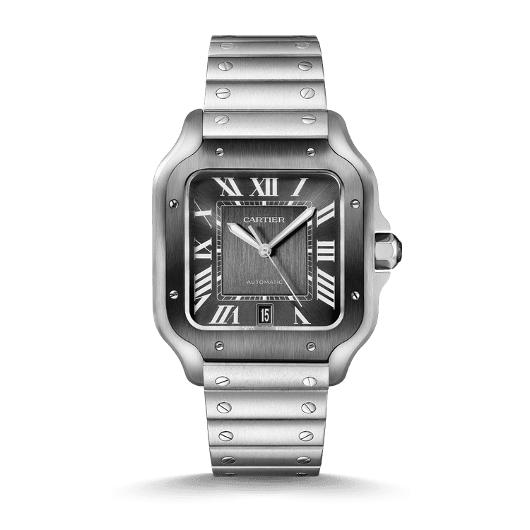 Cartier Santos de Cartier Referenz: WSSA0037 cover url