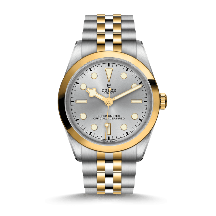 TUDOR Black Bay 36 S&G cover url