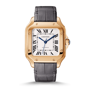 Cartier Santos de Cartier Referenz: WGSA0028 Produktbild 0