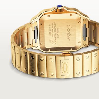 Cartier Santos de Cartier Referenz: WGSA0029 Produktbild 2