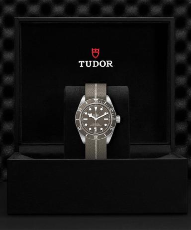 TUDOR Black Bay 58 925 Referenz: M79010SG-0002 Produktbild 3