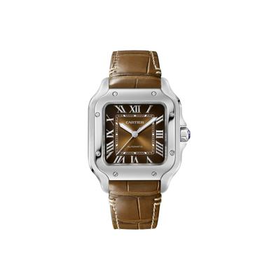 Cartier Santos de Cartier Referenz: WSSA0065 Produktbild 1