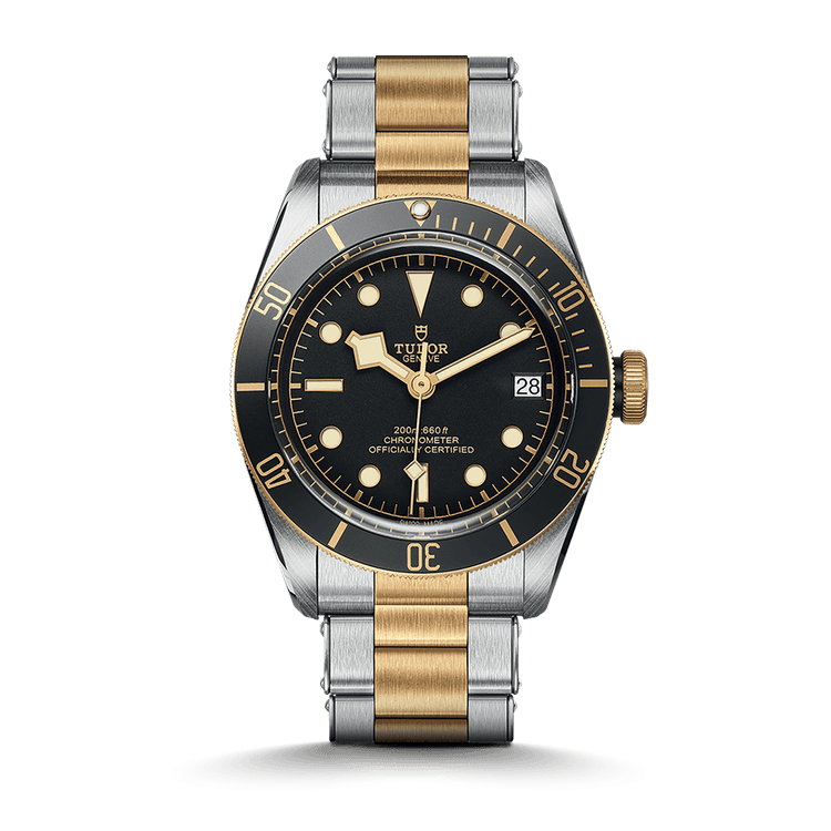 TUDOR Black Bay S&G cover url