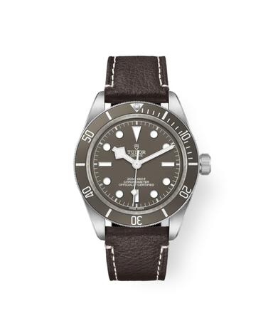 TUDOR Black Bay 58 925 Referenz: M79010SG-0001 Produktbild 0