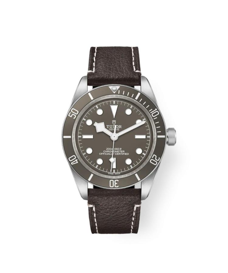 TUDOR Black Bay 58 925 Referenz: M79010SG-0001 cover url