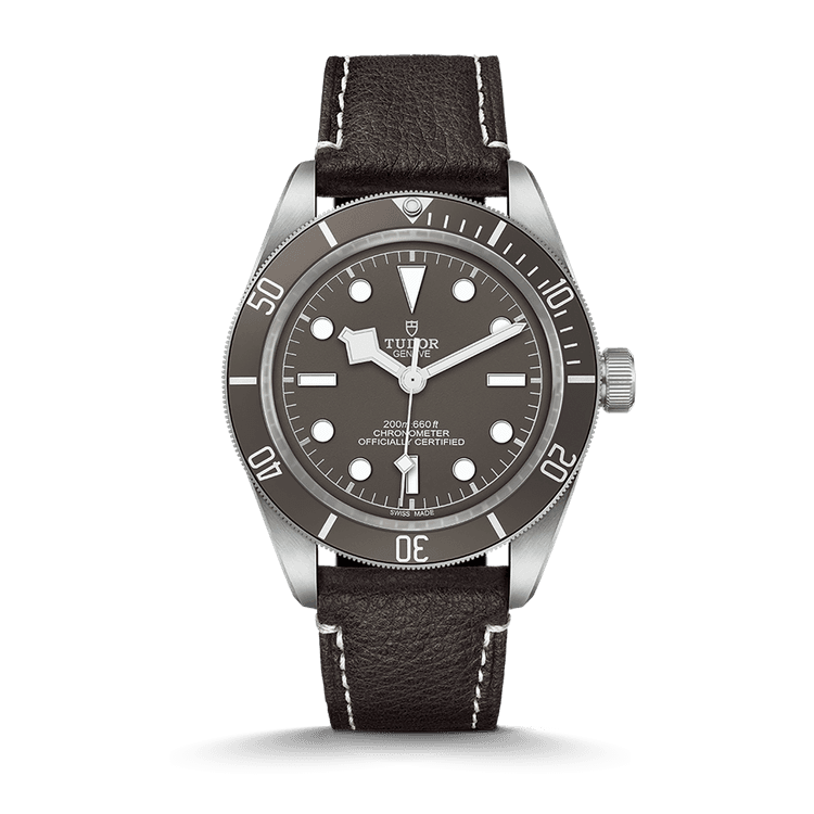 TUDOR Black Bay 58 925 Referenz: M79010SG-0001 cover url