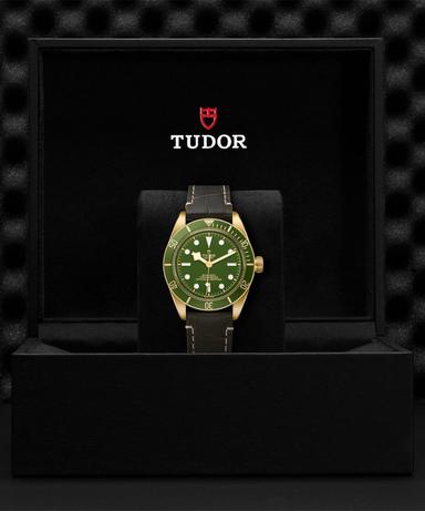 TUDOR Black Bay 58 18K Referenz: M79018V-0002 Produktbild 4