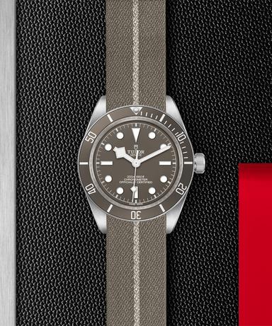 TUDOR Black Bay 58 925 Referenz: M79010SG-0002 Produktbild 2