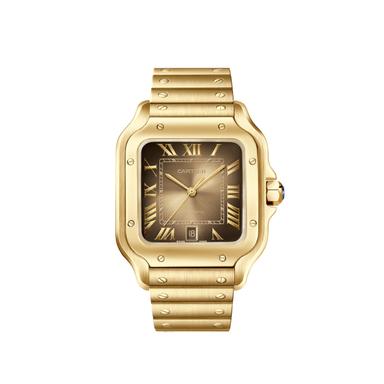 Cartier Santos de Cartier Referenz: WGSA0095 Produktbild 0