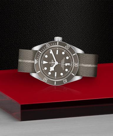 TUDOR Black Bay 58 925 Referenz: M79010SG-0002 Produktbild 1