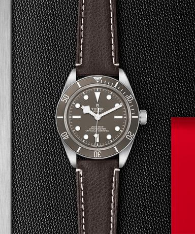 TUDOR Black Bay 58 925 Referenz: M79010SG-0001 Produktbild 2