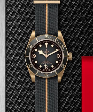 TUDOR Black Bay Bronze Referenz: M79250BA-0002 Produktbild 2