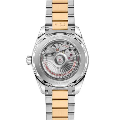 OMEGA Seamaster Aqua Terra Shades 38 Referenz: 220.20.38.20.02.002 Produktbild 1