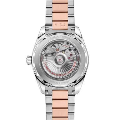 OMEGA Seamaster Aqua Terra Shades 38 Referenz: 220.20.38.20.09.001 Produktbild 1