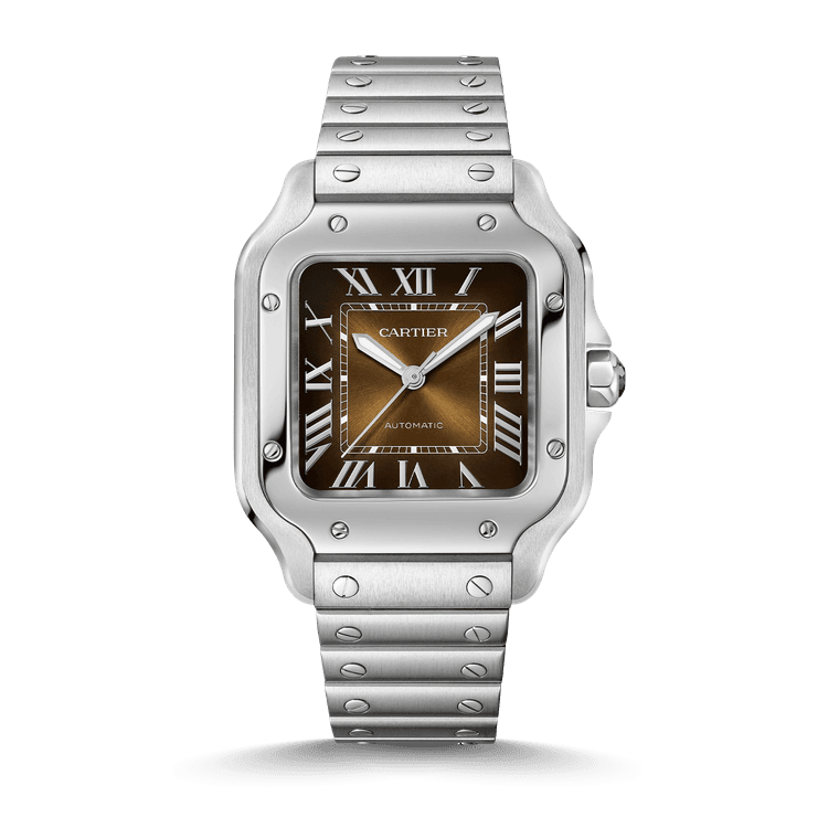 Cartier Santos de Cartier Referenz: WSSA0065 cover url