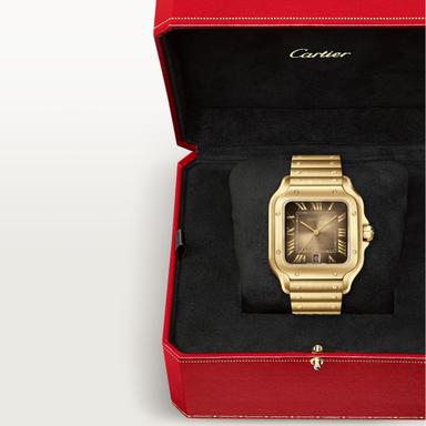 Cartier Santos de Cartier Referenz: WGSA0095 Produktbild 4