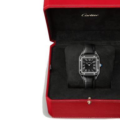 Cartier Santos Dumont  Referenz: WSSA0046 Produktbild 3