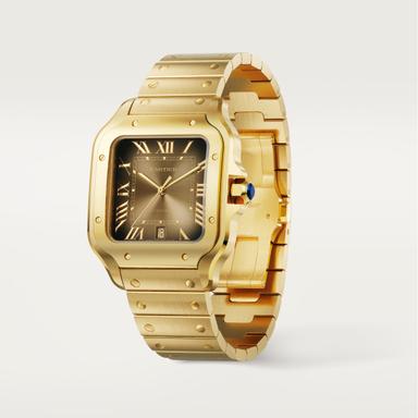 Cartier Santos de Cartier Referenz: WGSA0095 Produktbild 2