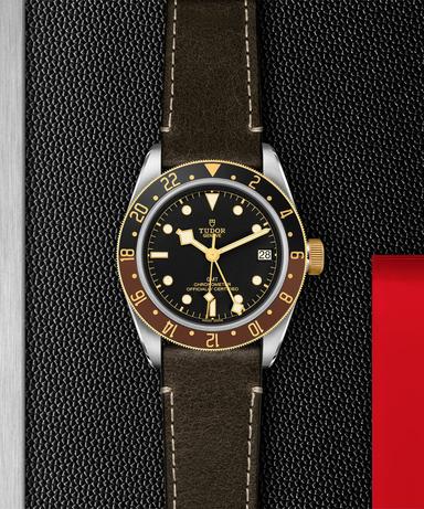 TUDOR Black Bay GMT S&G Referenz: M79833MN-0003 Produktbild 2