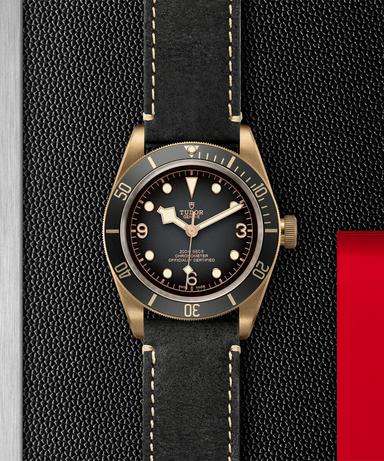 TUDOR Black Bay Bronze Referenz: M79250BA-0001 Produktbild 2