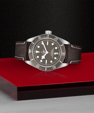 TUDOR Black Bay 58 925 Referenz: M79010SG-0001 Produktbild 1