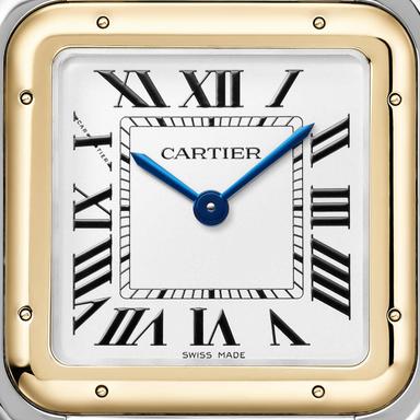 Cartier Panthère de Cartier Referenz: W2PN0012 Produktbild 3