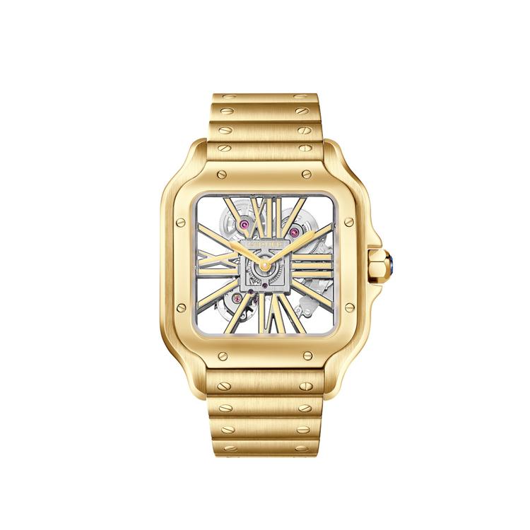 Cartier Santos de Cartier Skelettiert Referenz: WHSA0042 cover url